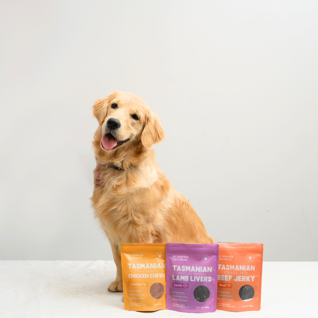 Treat and Treat Pouch Bundle